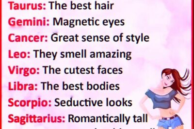 Why Zodiac Signs Are Incredibly Attractive