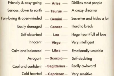 Zodiac Signs: Expectation vs. Reality