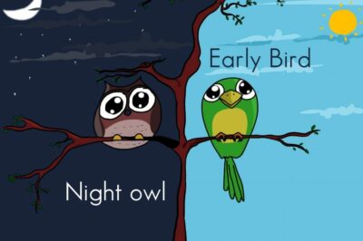 Zodiac Sleep Patterns: Are You a Night Owl or an Early Bird?