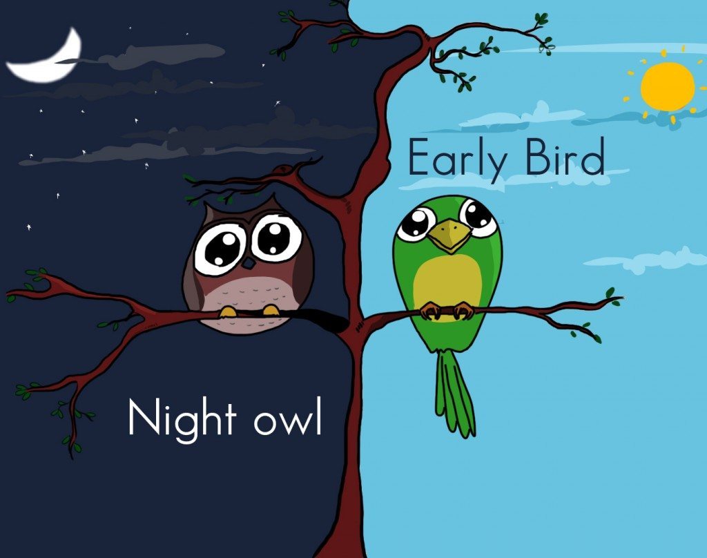 Zodiac Sleep Patterns: Are You a Night Owl or an Early Bird?