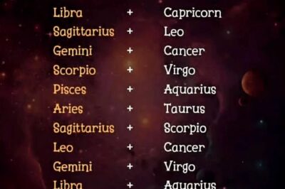 Match Made in Heaven: Zodiac Pairings That Spark Magic